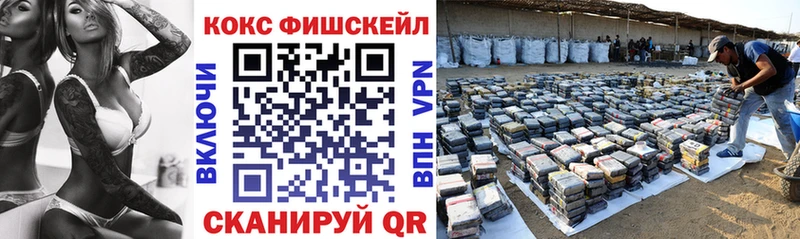 Кокаин FishScale  shop какой сайт  Курчалой 