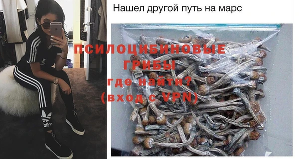 гашик Белоозёрский
