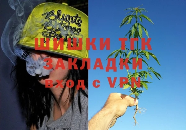 гашик Белоозёрский