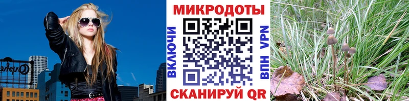 Псилоцибиновые грибы ЛСД  даркнет какой сайт  Курчалой  ссылка на мегу онион 